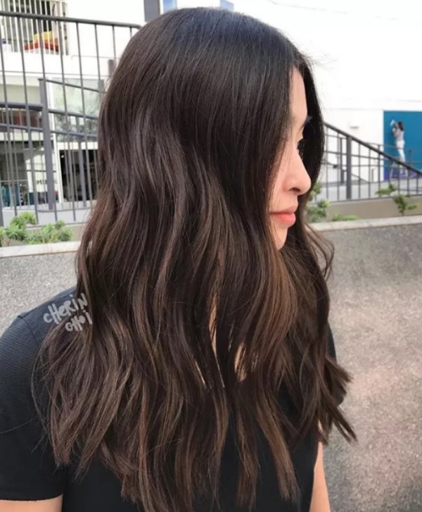 لولایت ظریف