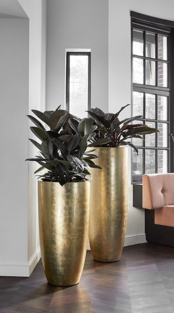 گلدان خیلی بزرگ