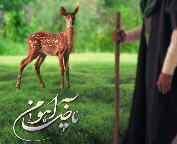 امام رضا 