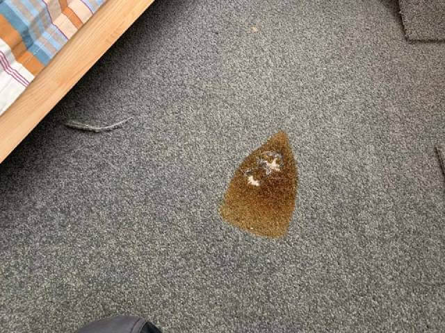 بهترین روش برای پاک کردن لک شیرینی و آب نبات از موکت پالاز