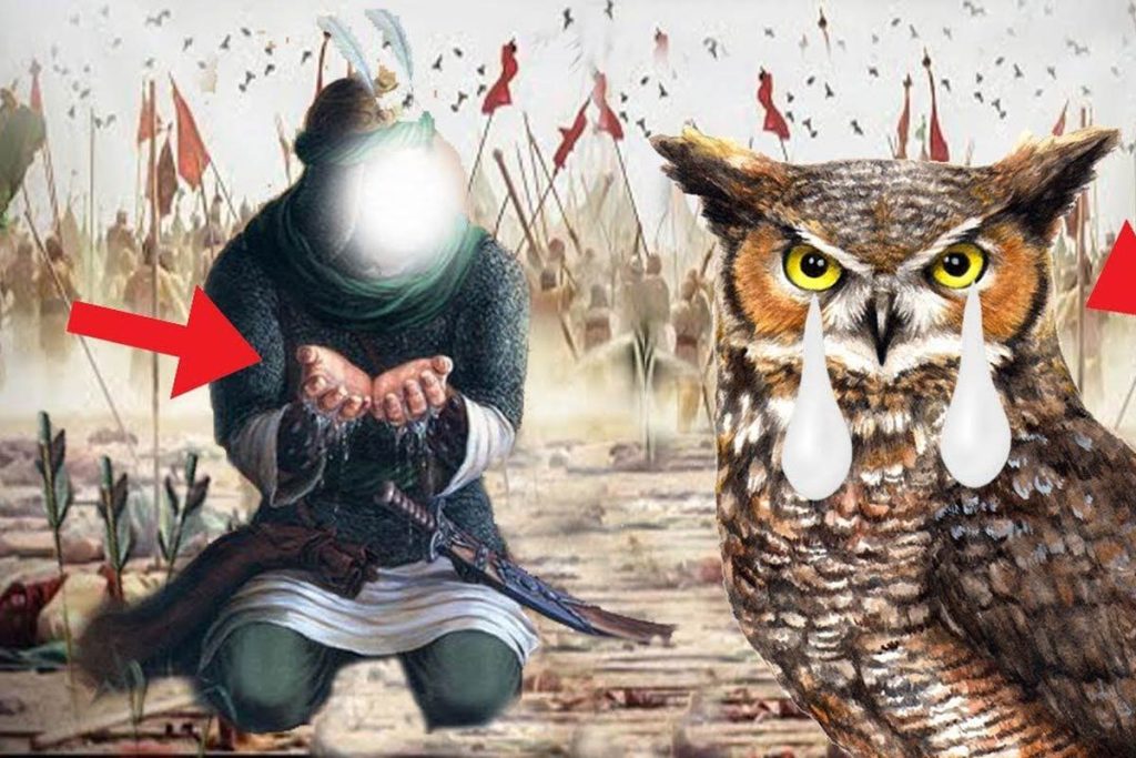 ماجرای جغد در کربلا چیست؟ آیا ارتباطی بین جغد و امام حسین (ع) وجود دارد ...
