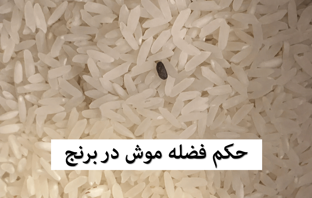 فضله موش در برنج