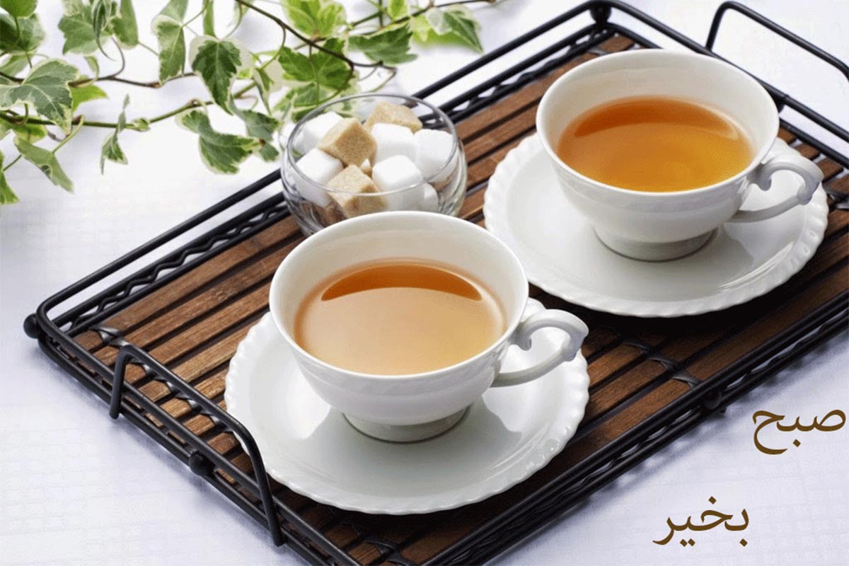سلام های باکلاس