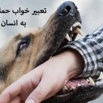 تعبیر خواب حمله سگ به انسان