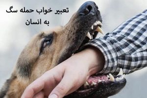 تعبیر خواب حمله سگ به انسان