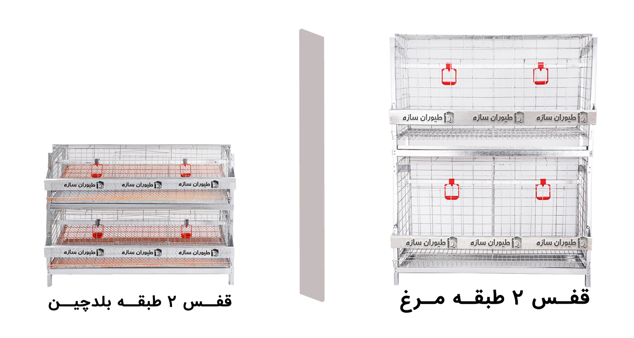 قفس بلدرچین و مرغ طیوران سازه