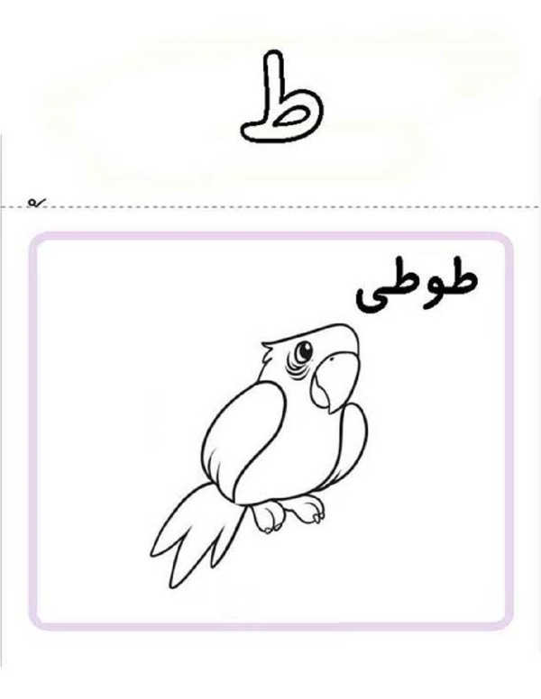 نقاشی با حرف ط