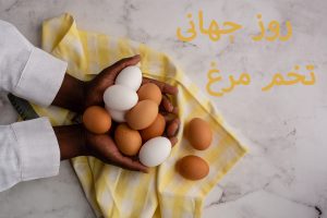 روز جهانی تخم مرغ