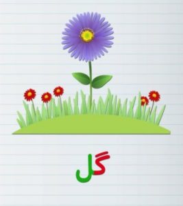انواع ایده نقاشی با حرف گ (گـ، گ) برای کودکان کلاس اول دبستان - ستاره