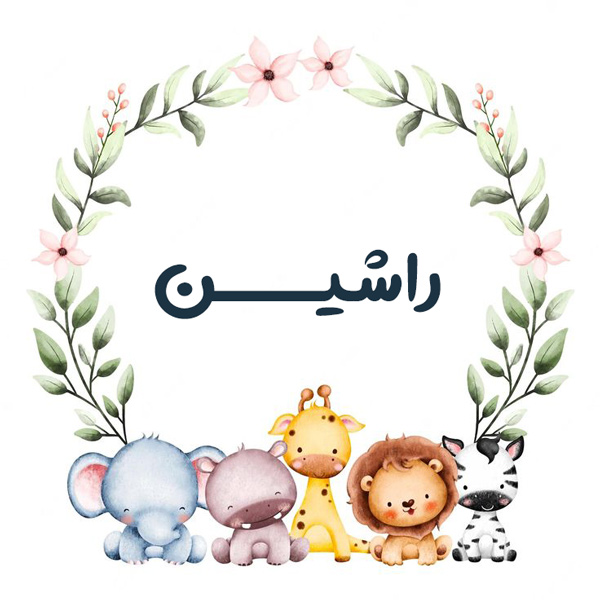 معنی اسم راشین | ریشه، ابجد، فراوانی و اسامی مشابه