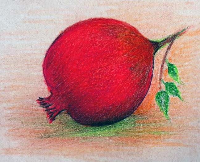نقاشی انار رنگی
