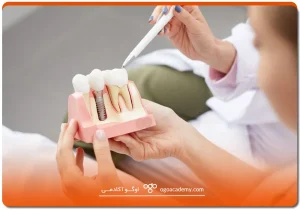 پنج دوره دندانپزشکی در ترکیه