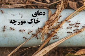 دعای خاک مورچه