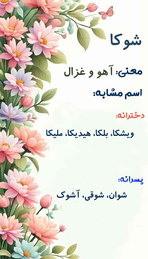ویژگی های نام شوکا