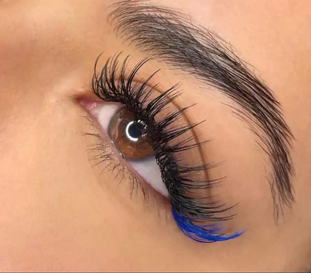 اسپایکی گربه ای