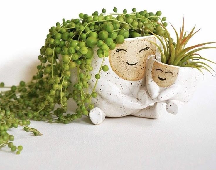 گلدون فانتزی کیوت برای کاکتوس