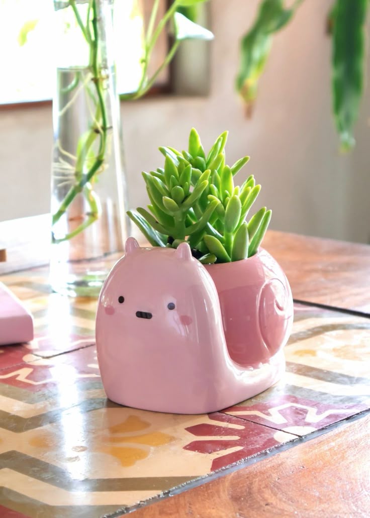 گلدون فانتزی کیوت برای کاکتوس