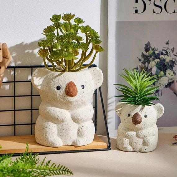 گلدون فانتزی کیوت برای کاکتوس