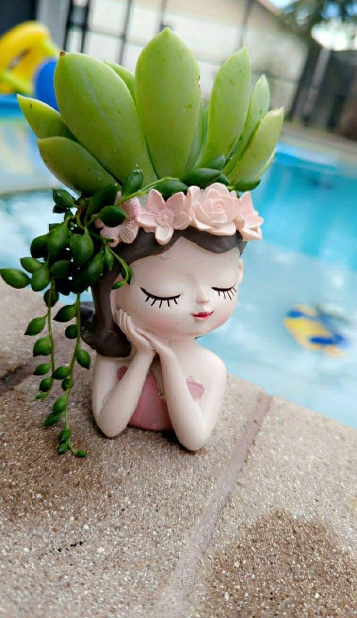 گلدون فانتزی کیوت برای کاکتوس
