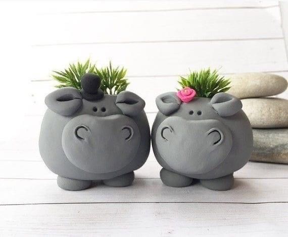 گلدون فانتزی کیوت برای کاکتوس