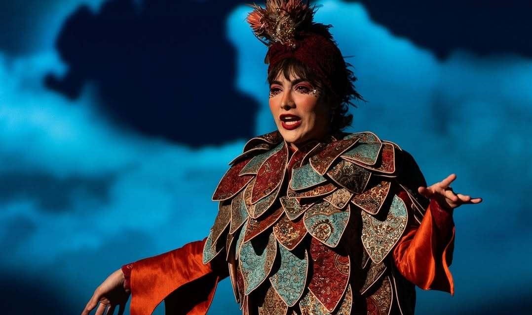 ریحانه رضی بازیگری