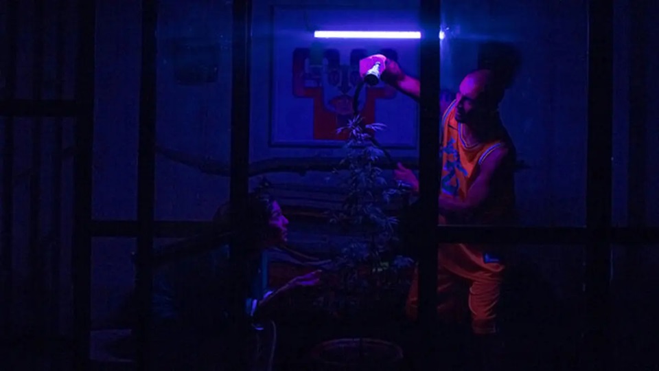 بیداد سهیل بیرقی