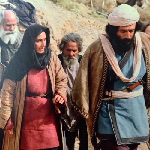 علیرضا شجاع نوری در سربداران