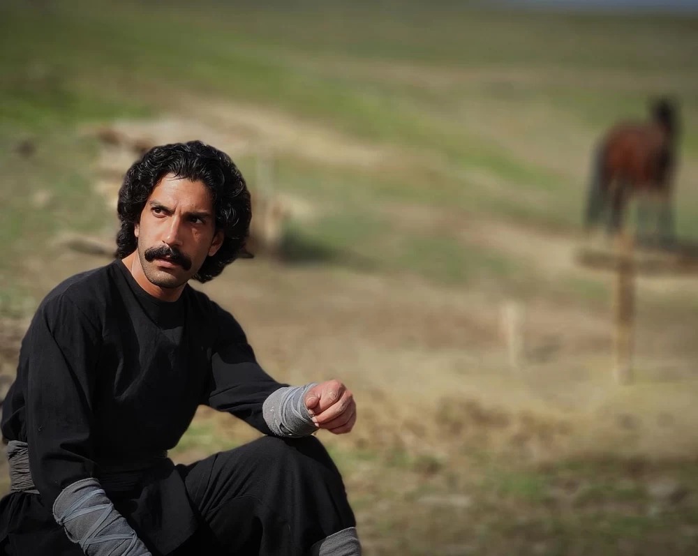 ارسطو خوش رزم در سینما