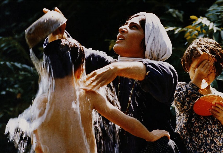 توقیف باشو غریبه کوچک