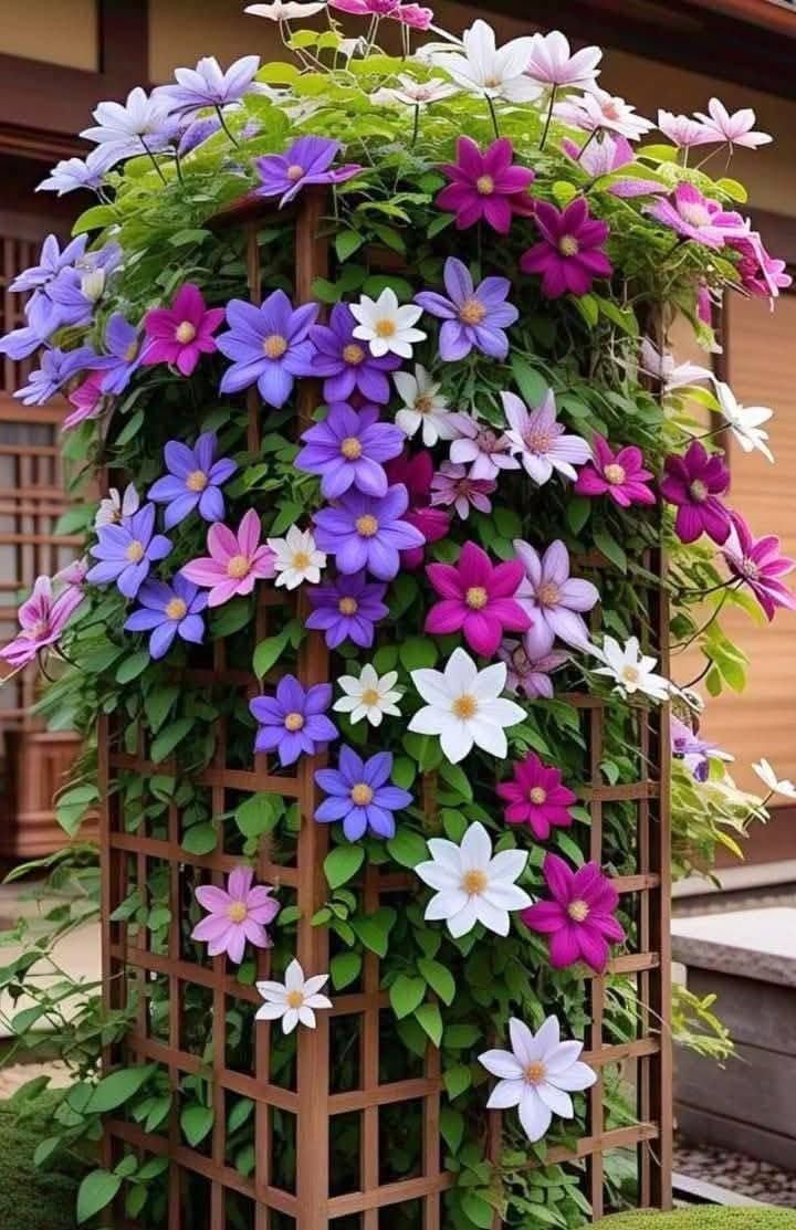چیدمان و گلکاری حیاط