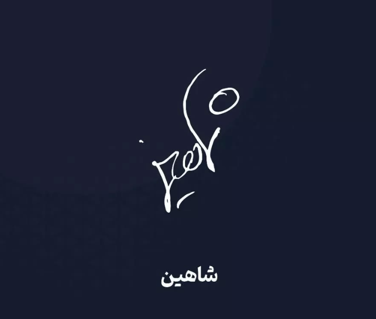 امضا پسرانه خفن-امضا ساده پسرانه-عکس امضا ساده و شیک-امضا شیک و ساده