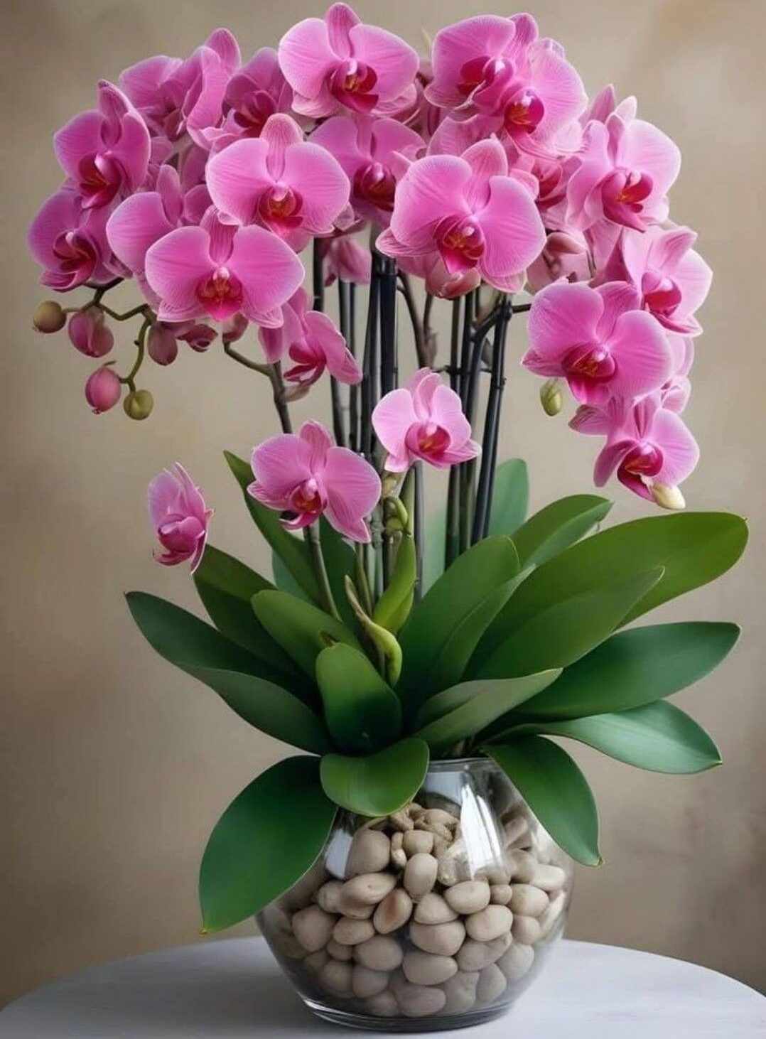 گلدان دکوری بزرگ برای گوشه پذیرایی