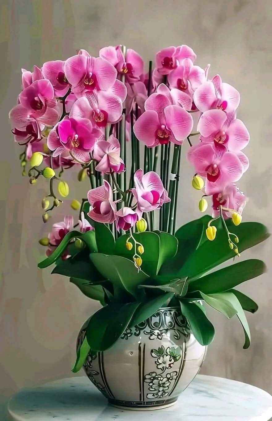 گلدان دکوری بزرگ برای گوشه پذیرایی