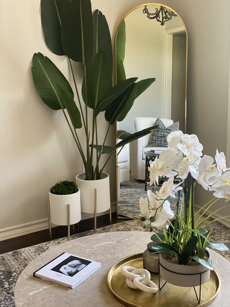 پایه و استند گلدان