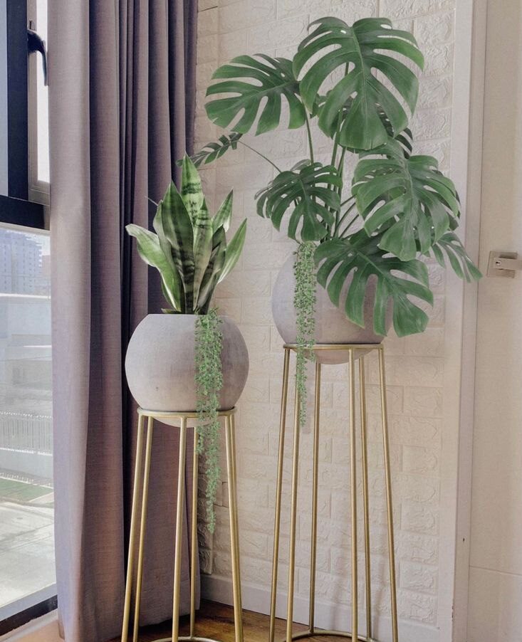 پایه و استند گلدان