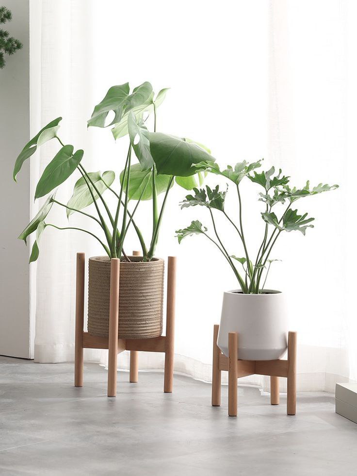 پایه و استند گلدان