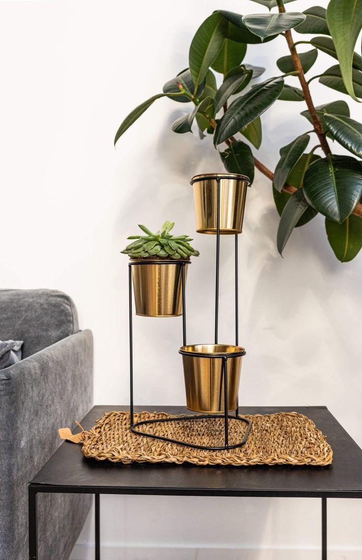 پایه و استند گلدان