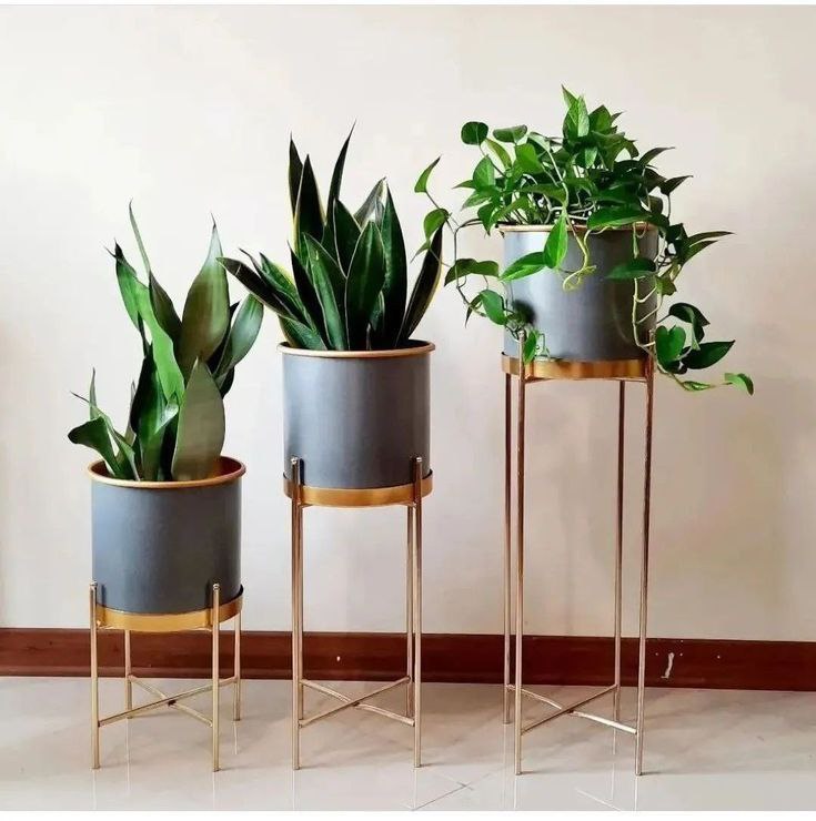 پایه و استند گلدان