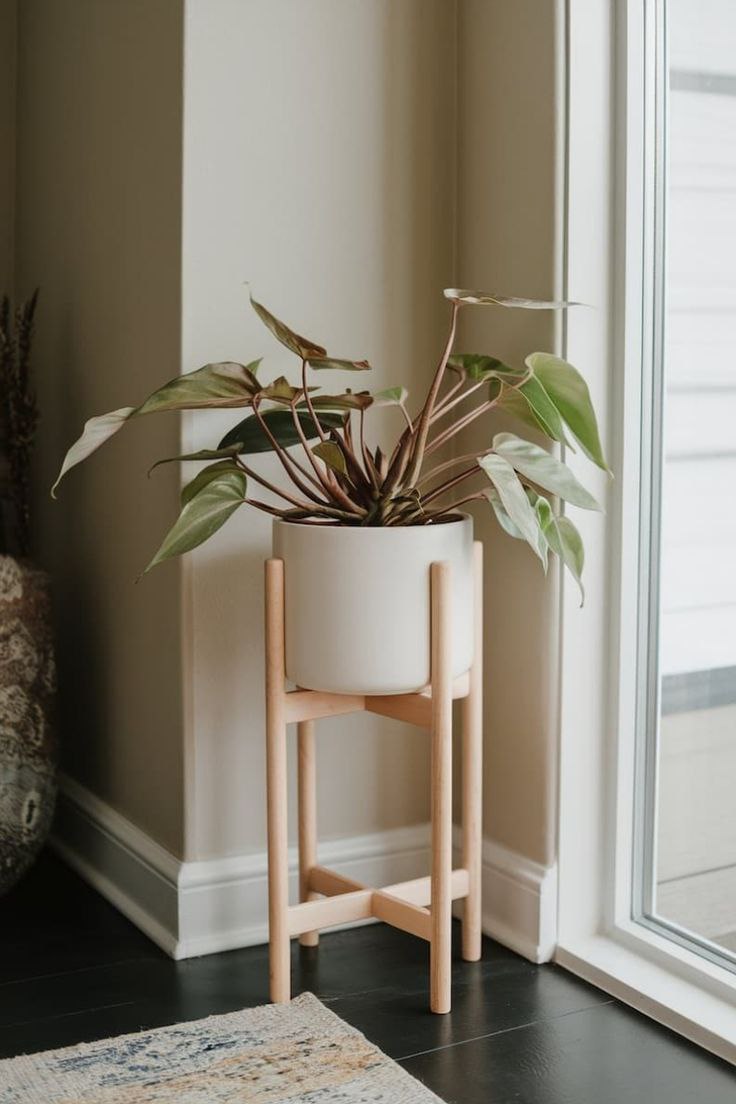 پایه و استند گلدان