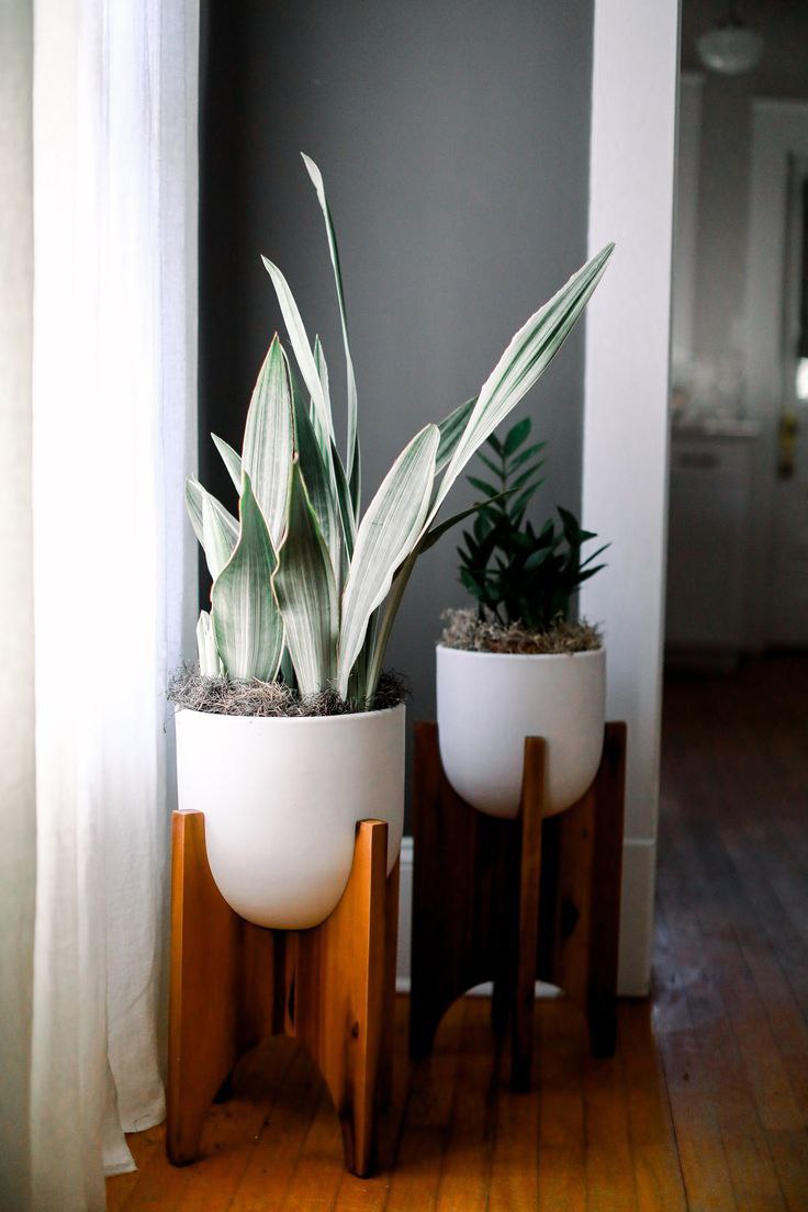 پایه و استند گلدان