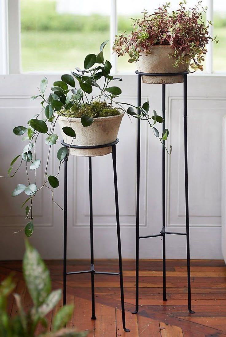 پایه و استند گلدان