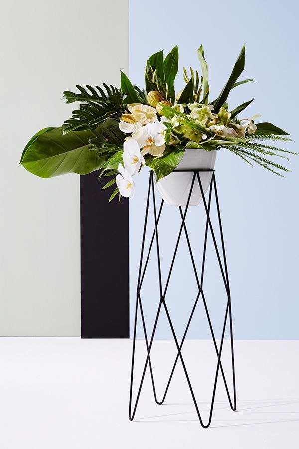 پایه و استند گلدان