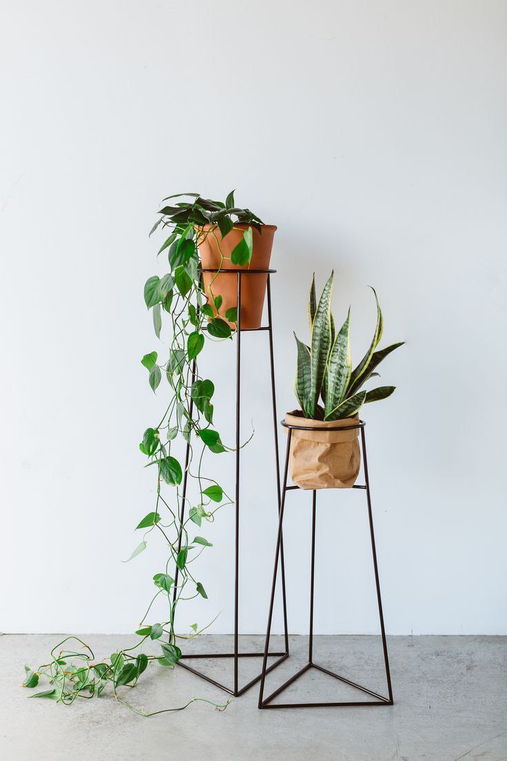 پایه و استند گلدان