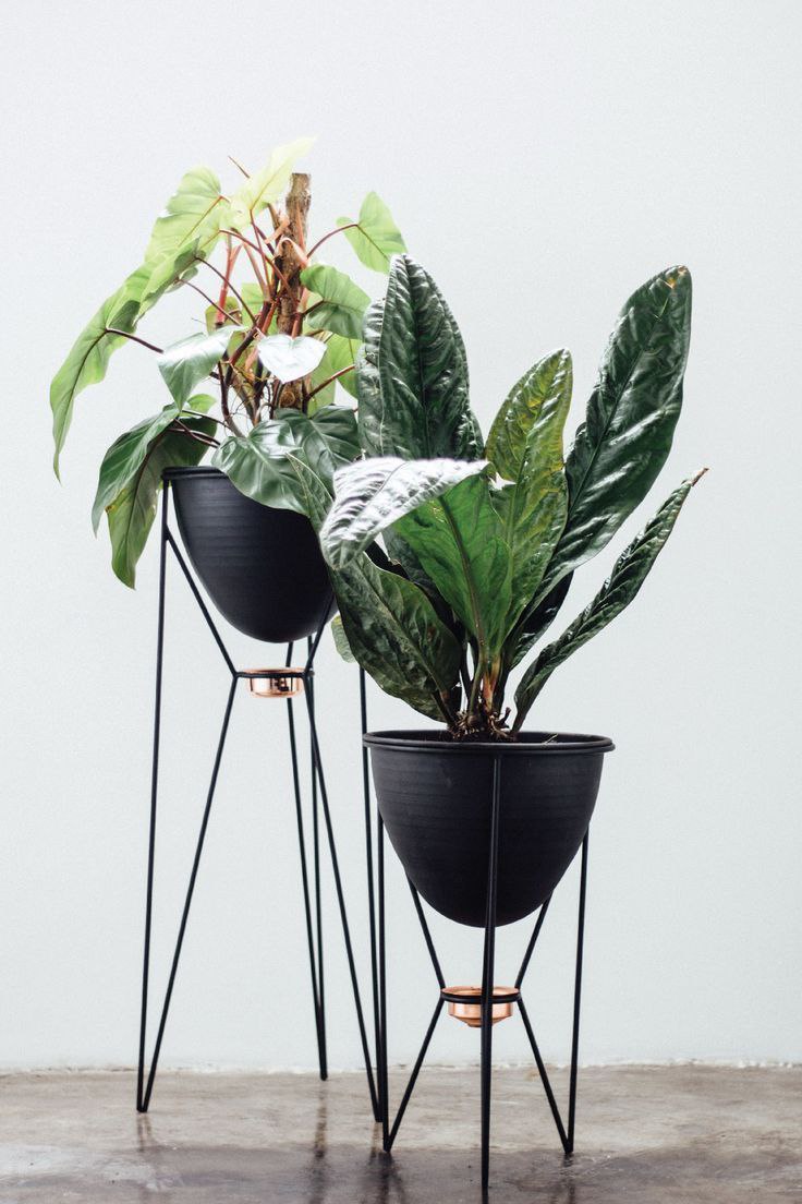 پایه و استند گلدان