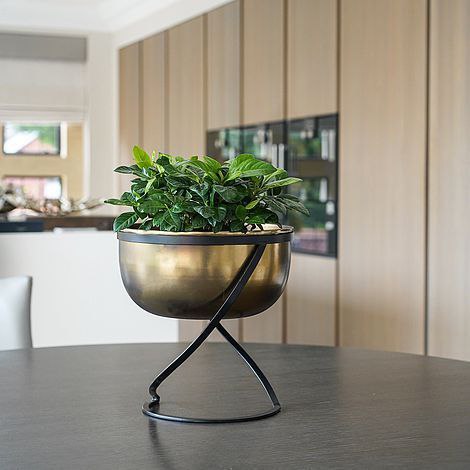 پایه و استند گلدان