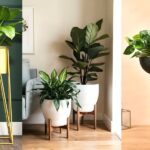 استند و پایه گلدان فلزی و چوبیس