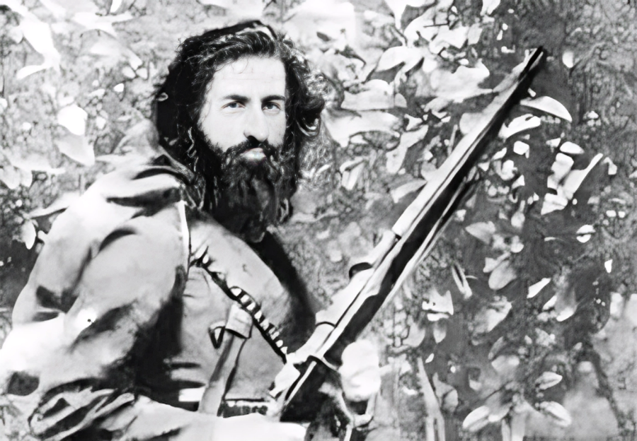 میرزا کوچک خان جنگلی 