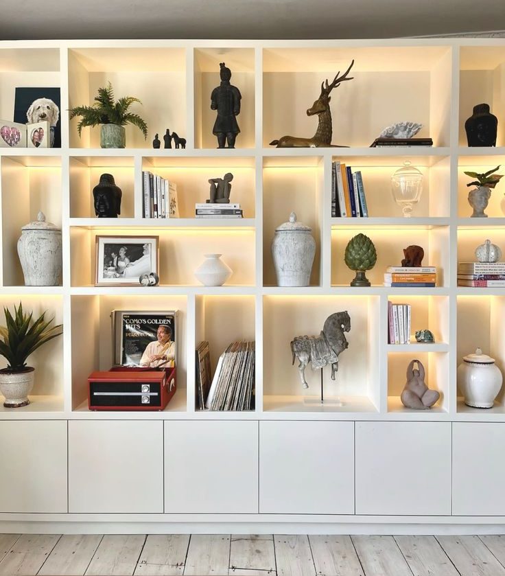 دکوری و ویترین پذیرایی توکار