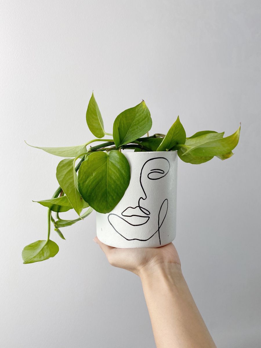 نقاشی گلدان