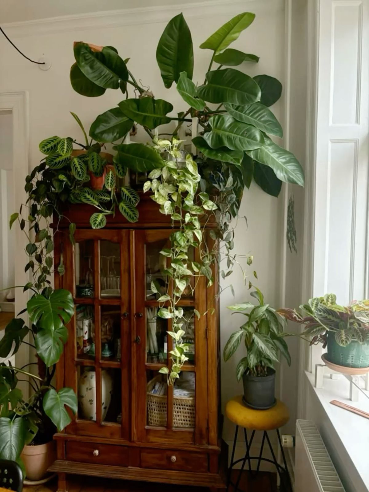 دکوراسیون بوفه